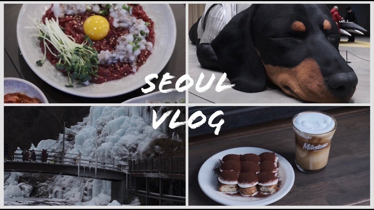 【首爾VLOG】快閃四天首爾!!居然遇到下雪了❄️☃️吃到心心念念的烤腸/親眼見到了聖水巨大臘腸狗🐶