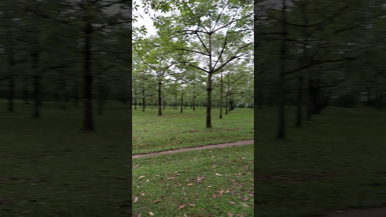Shimul Bagan, Sunamganj #asia #green #nature #travel