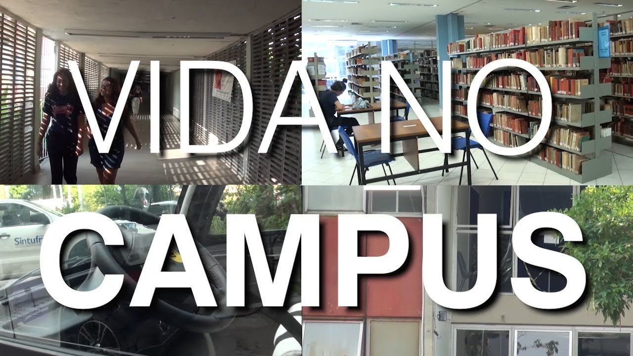 VIDA NO CAMPUS   Observat&oacute;rio do Valongo   UFRJ