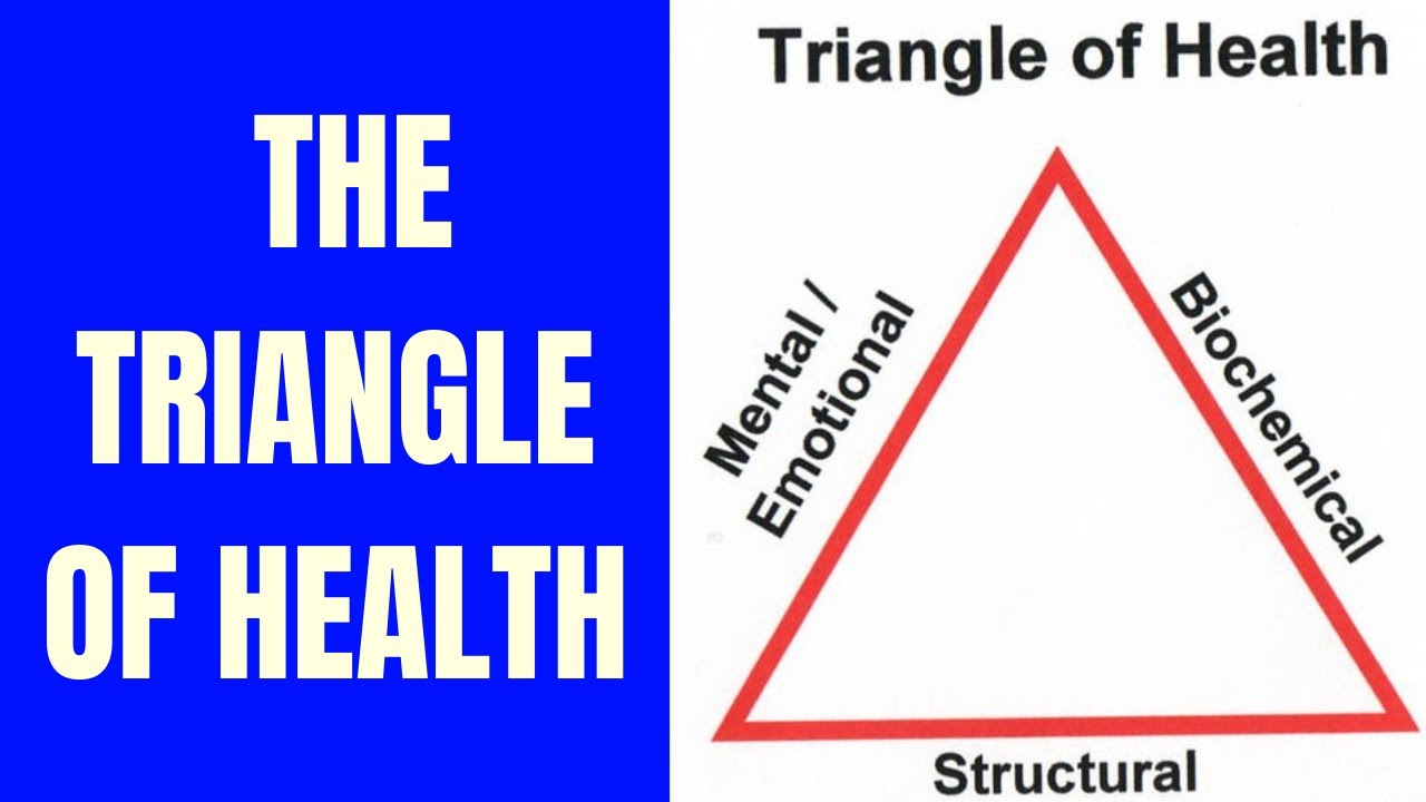 What is the Triangle of Health?