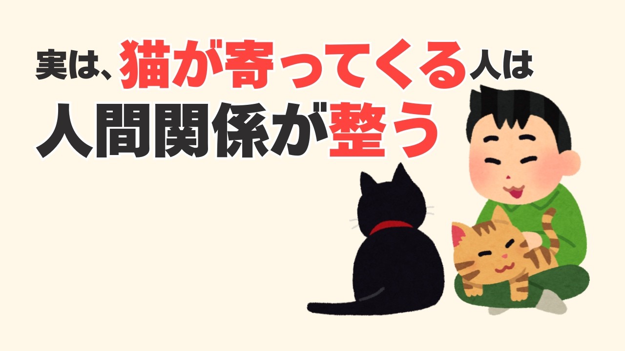 【納得】猫が見抜いている「人間関係が整う人」の共通点。人生の雑学。