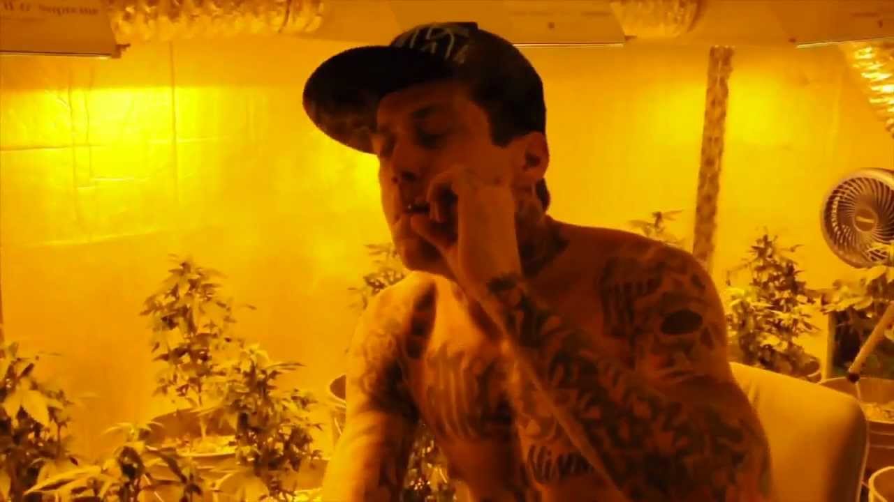 D-Loc (Kottonmouth Kings) - Kush (Remix) *OFFICIAL VIDEO*