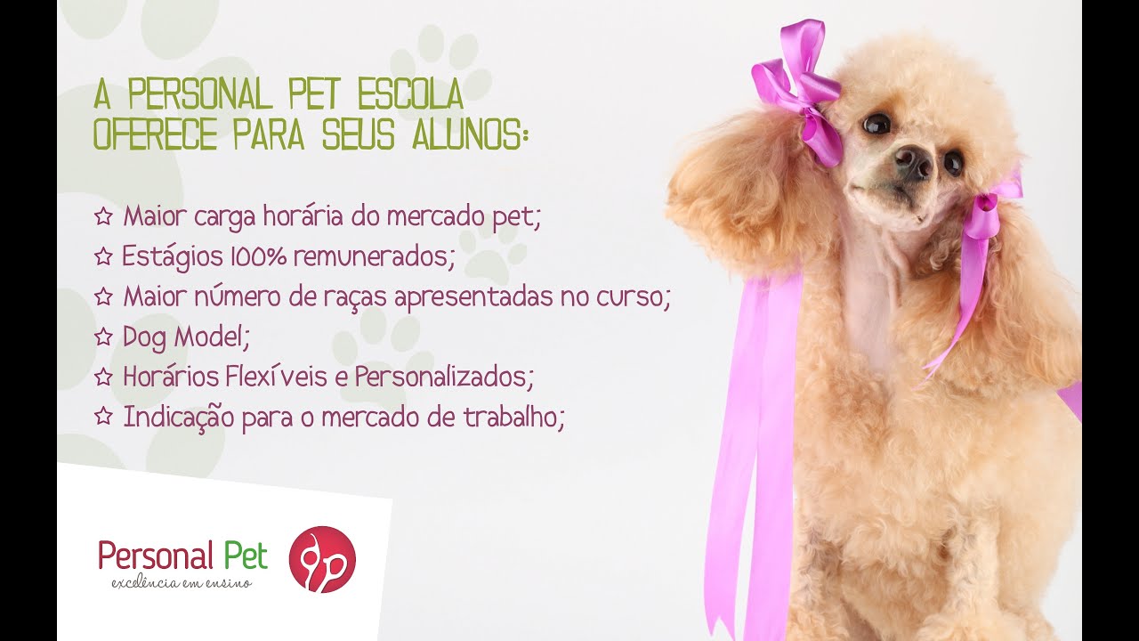 CURSO DE BANHO E TOSA - Tosa higiênica passo a passo
