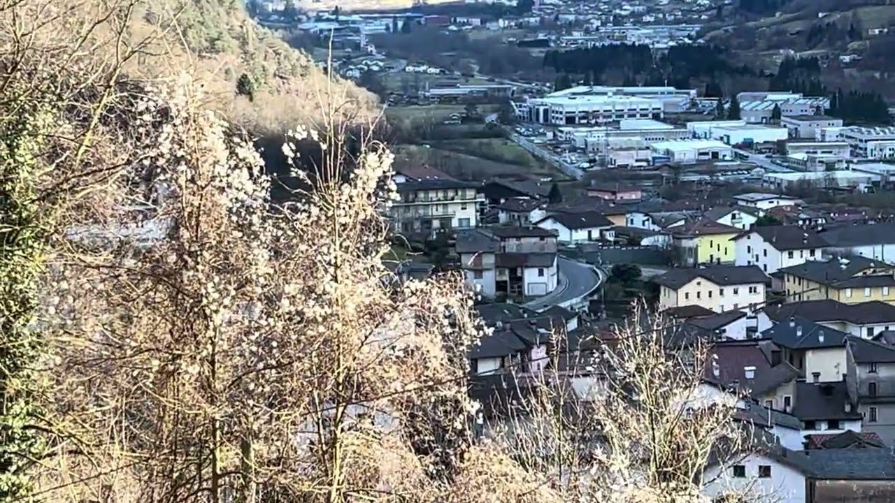 Una bella passeggiata nel bosco