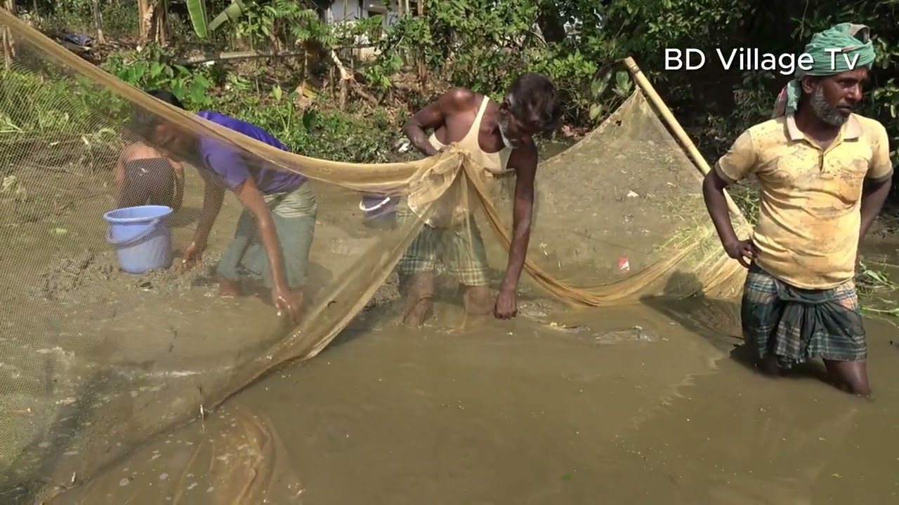 Unique Village Pond Fishing | Traditional Fishing in Rural Life | P1