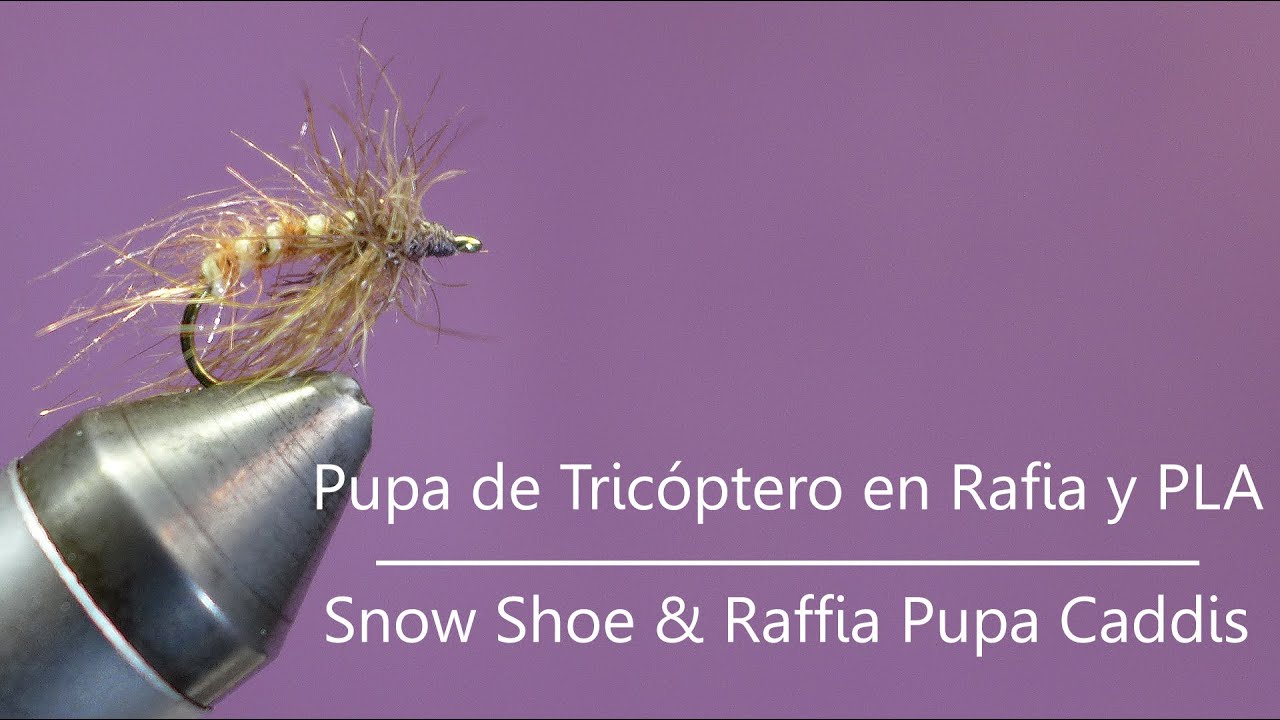 Montaje de una Pupa de Tricóptero en rafia y PLA