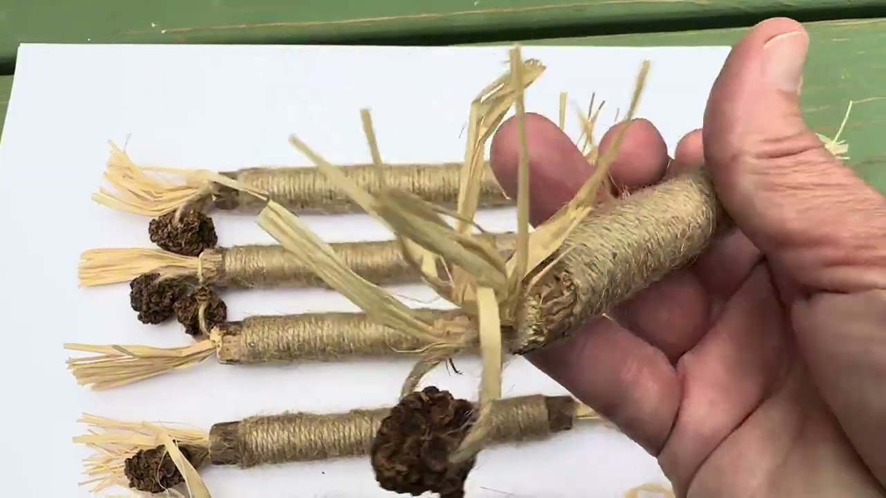 100% Natural Silvervine Cat Sticks 🐾 | Catnip Alternative for Happy & Healthy Cats