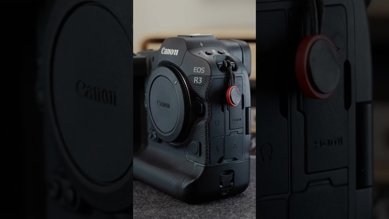 Canon R3 or a canon R6mk2  ?