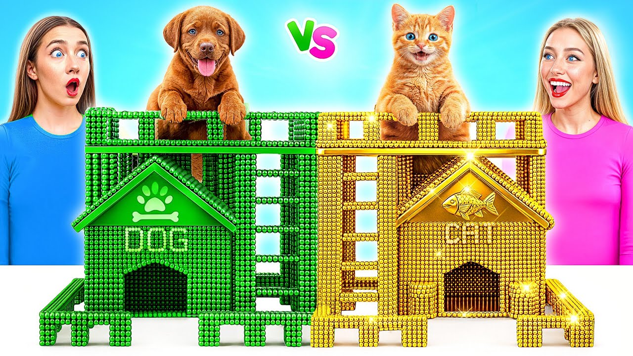 Строим Секретные Домики для Животных | Богатая Кошка vs Бедная Собака c Multi DO Smile
