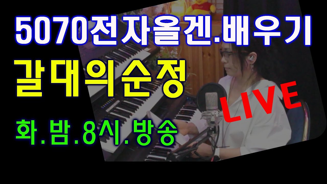5070올겐교실 화.밤.8시(19) #갈대의순정 배우기 #화.밤.8시.방송 #5070올겐배우기 #트로트 맛집 #전주/노래/오부리/양손연주