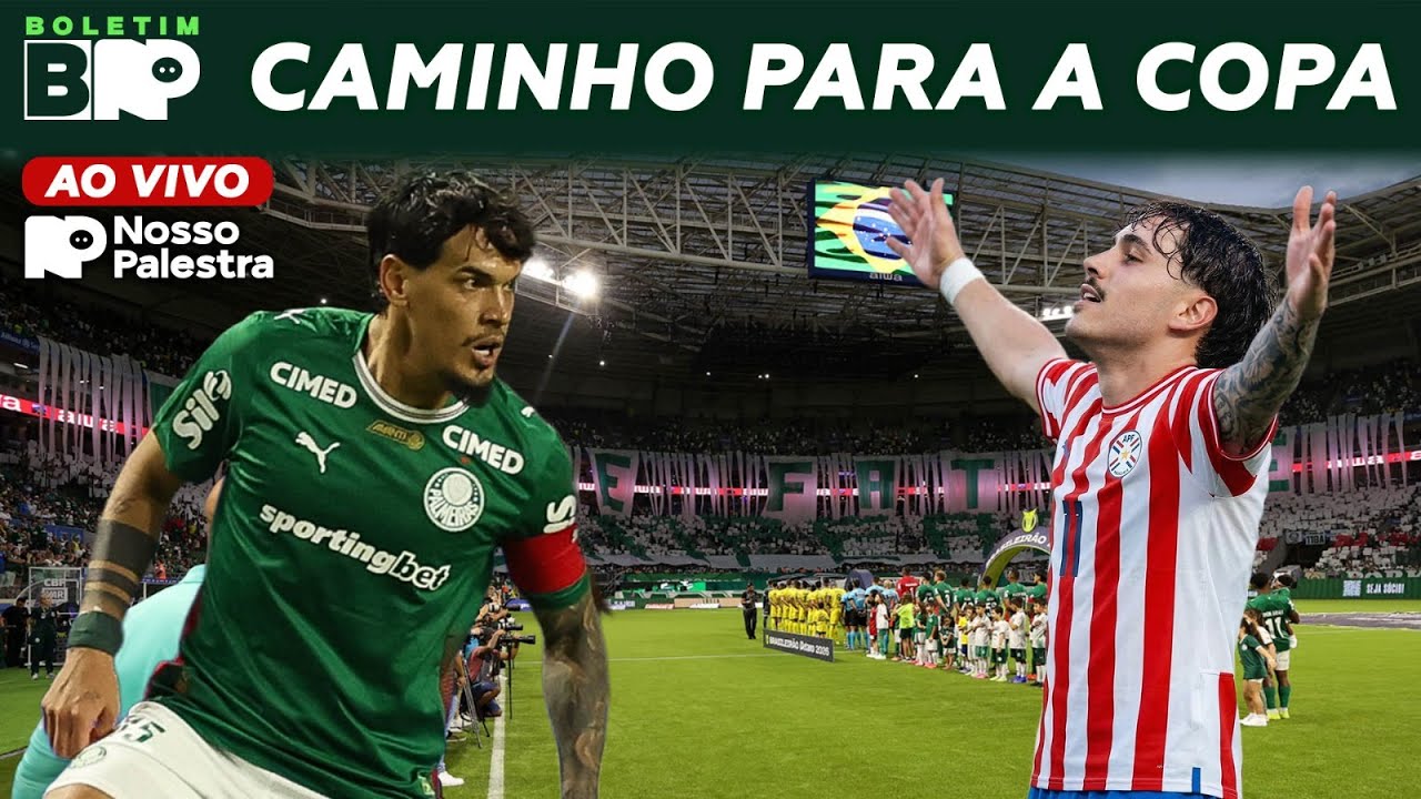 📹 NOVO PATROCÍNIO NA CAMISA DO PALMEIRAS! CONVOCADOS DAS SELEÇÕES 📰 BOLETIM NP #020