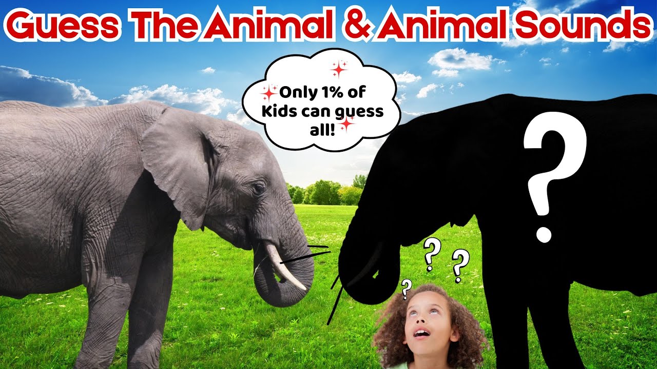 Guess the Animal Sound! 🦁 🐘 | Fun Quiz for Kids | Learn Animal Names