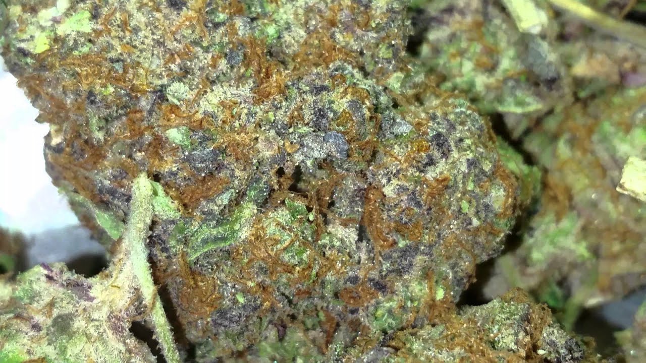 Kryptonite strain HD (topshelf)