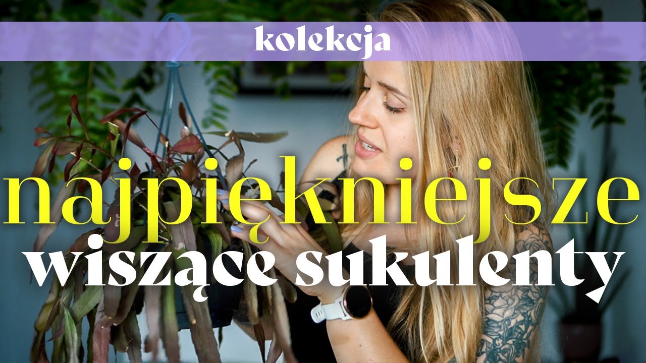 🔥 Moje serduszka - wiszące sukulenty