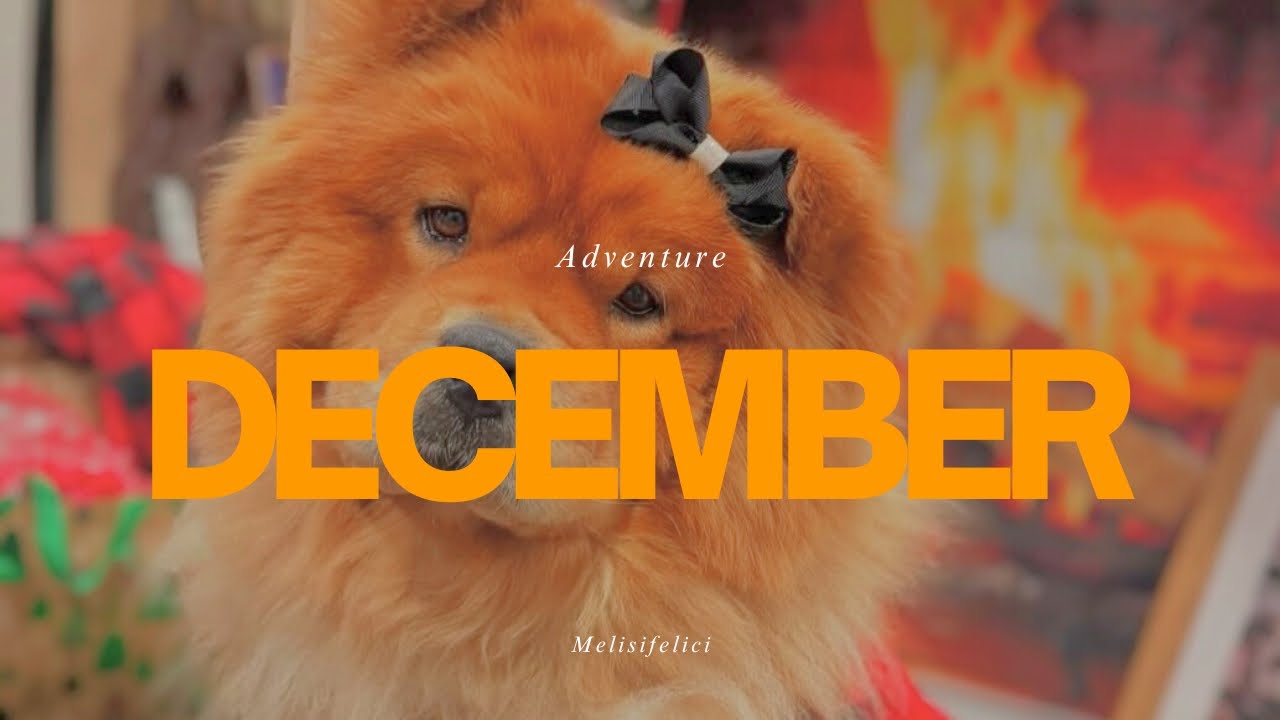 A Few Days In My Life Vlog: Winter Arc | spa, ice skating, friendsmas, chiropractor, K-pop dj