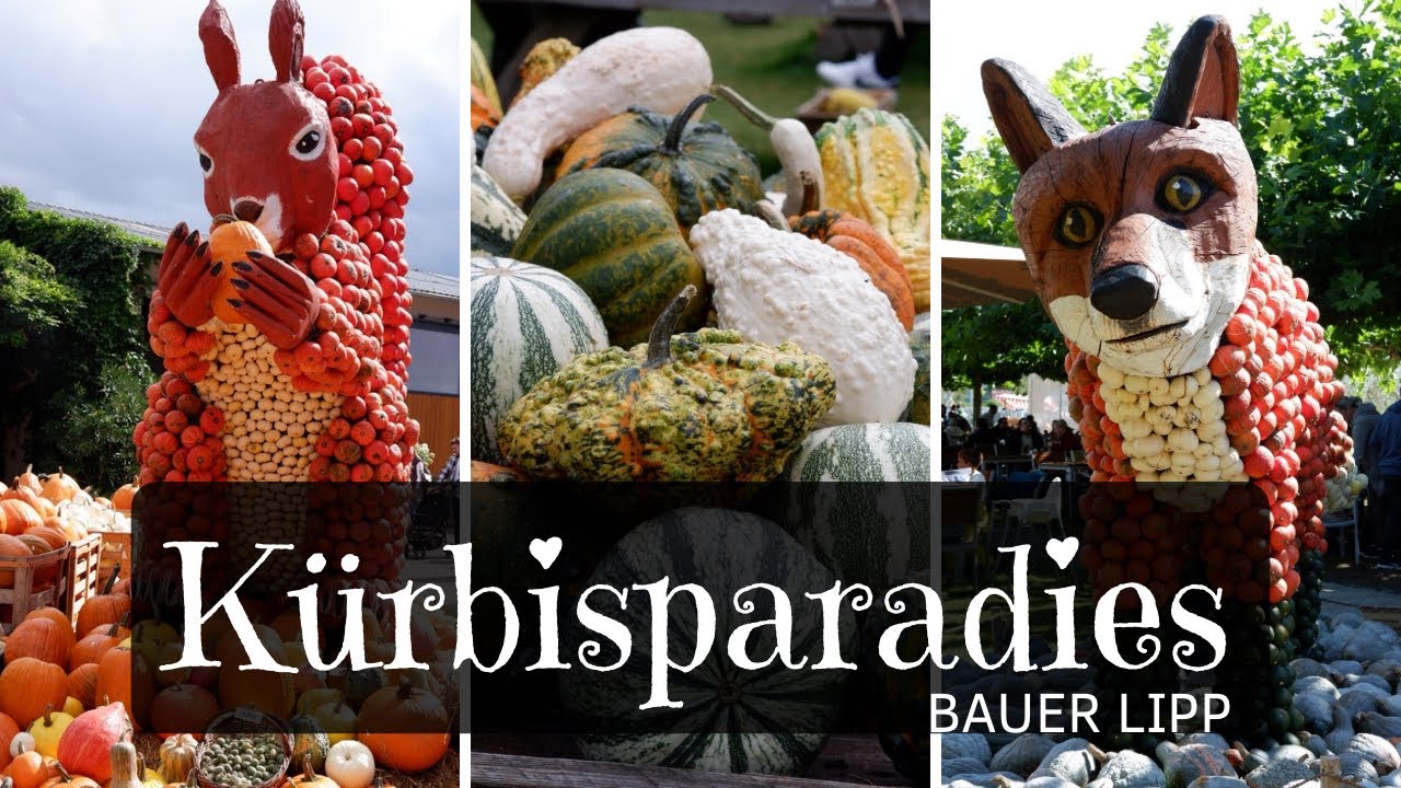 🎃 Ein Tag im K&uuml;rbisparadies Bauer Lipp | Herbst-Highlight in Hessen