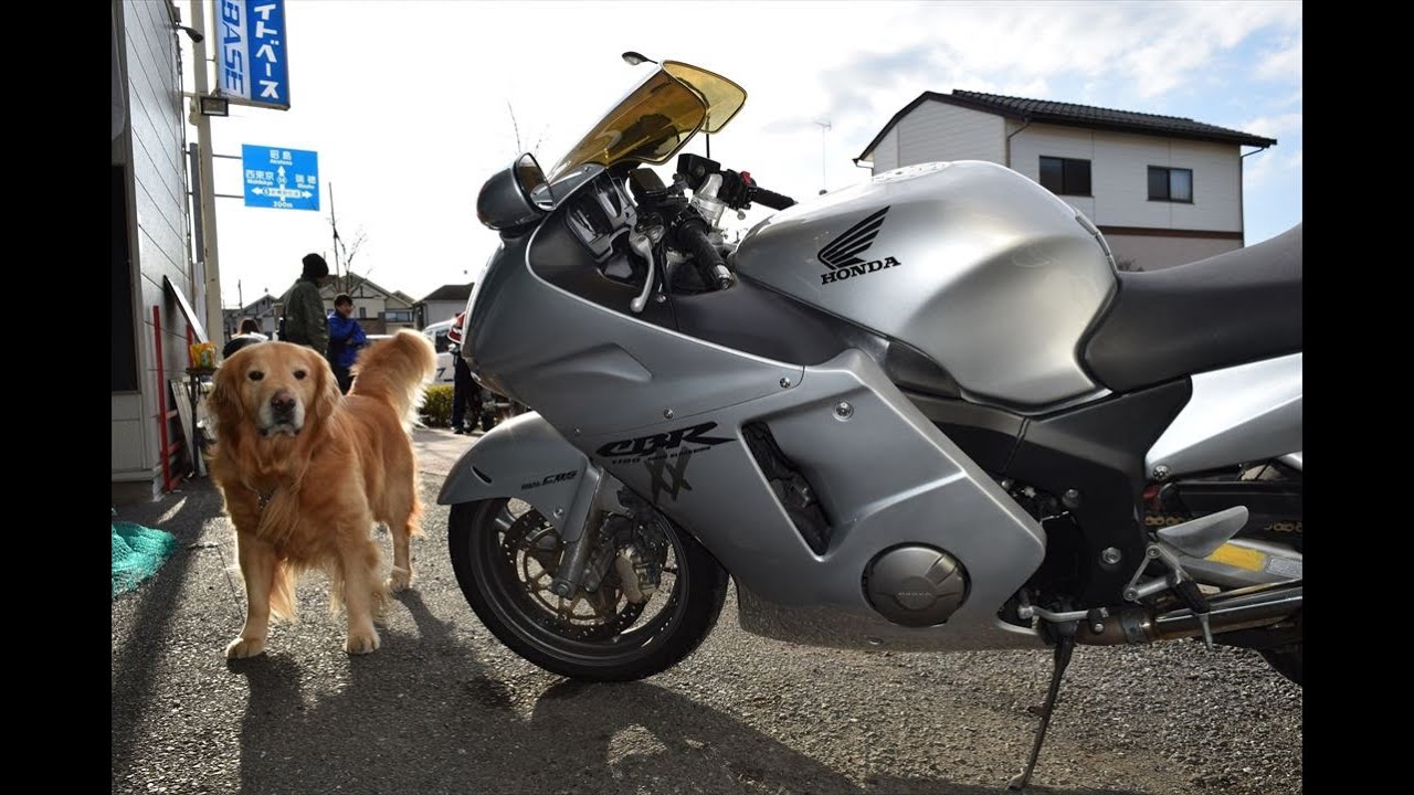 CBR1100XXスーパーブラックバードで近所を一周走ってくる動画