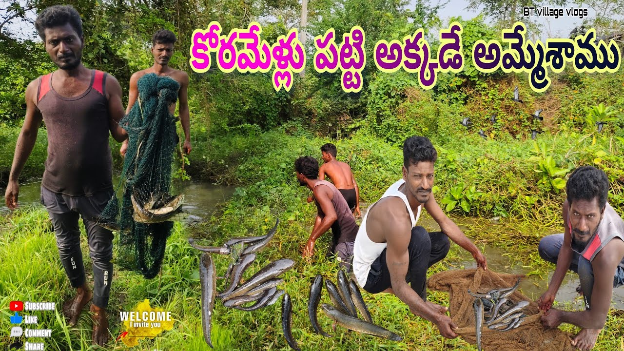 కోరమేళ్లు పట్టి అక్కడే అమ్మేశాము #fish #fishing #village #dryfish #penumudi #villagecooking #prawns 