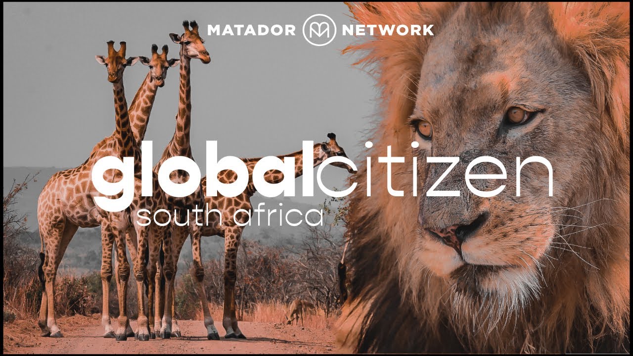 The Ugly Truth About South African Wildlife