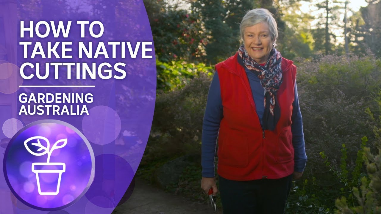 How to take native cuttings
