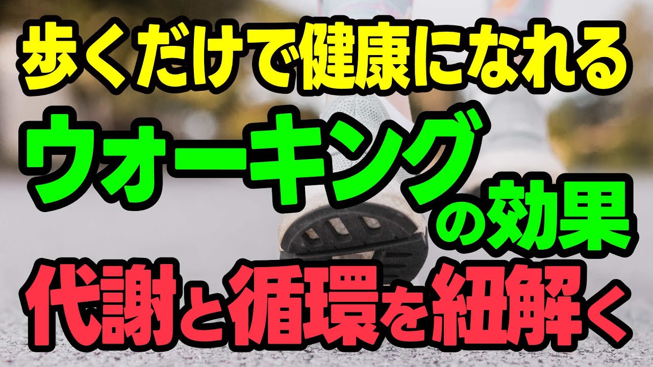 【健康】ウォーキングの効果・代謝と循環を紐解く