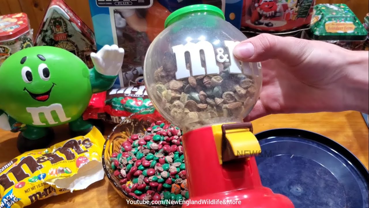 Открываю и ем M&M's десятилетней давности. Очень отвратительно.