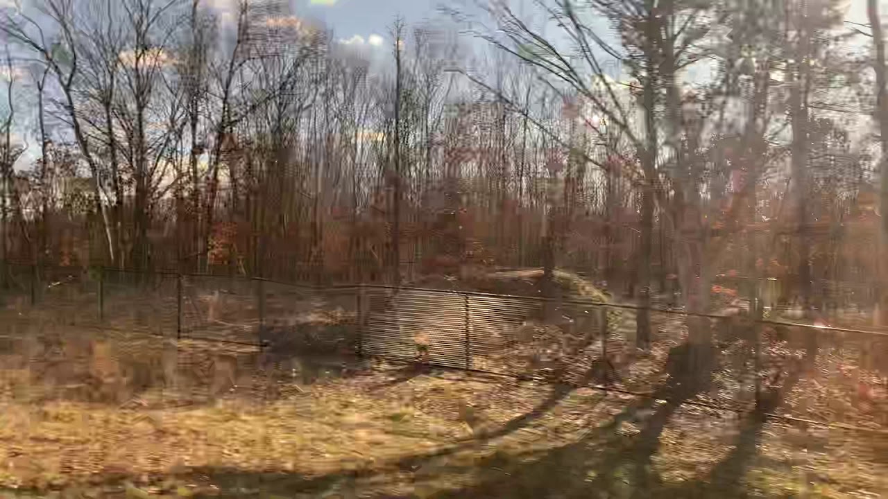 Ride Along on Montauk Bus 891 - 2022 IC CE (Cummins B6.7) - Part 3