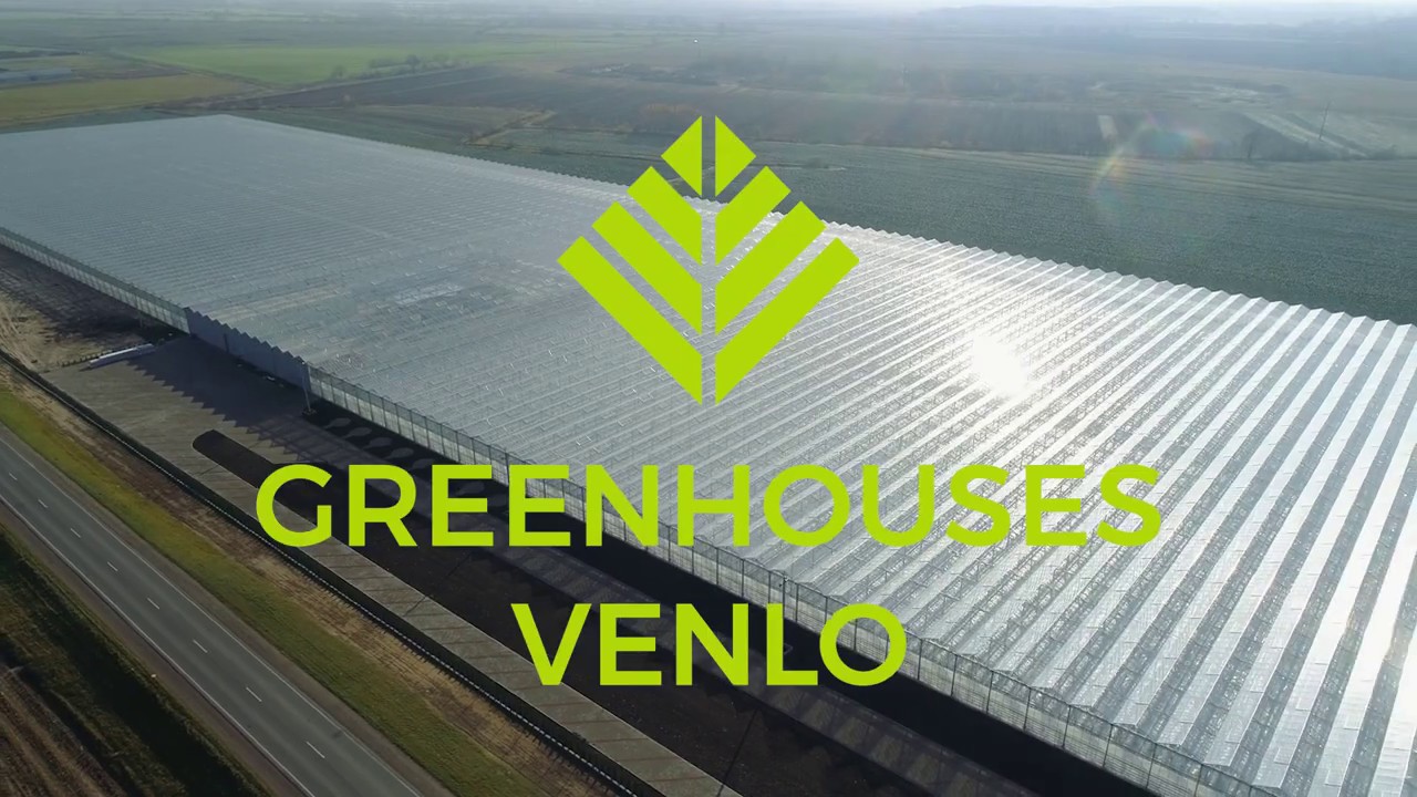 VENLO GREENHOUSES - Olshany
