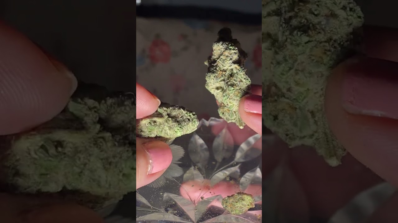 Sunburn Sanctuary Flower Review on Trop Top, Truffle two-step and Bittersweet strains