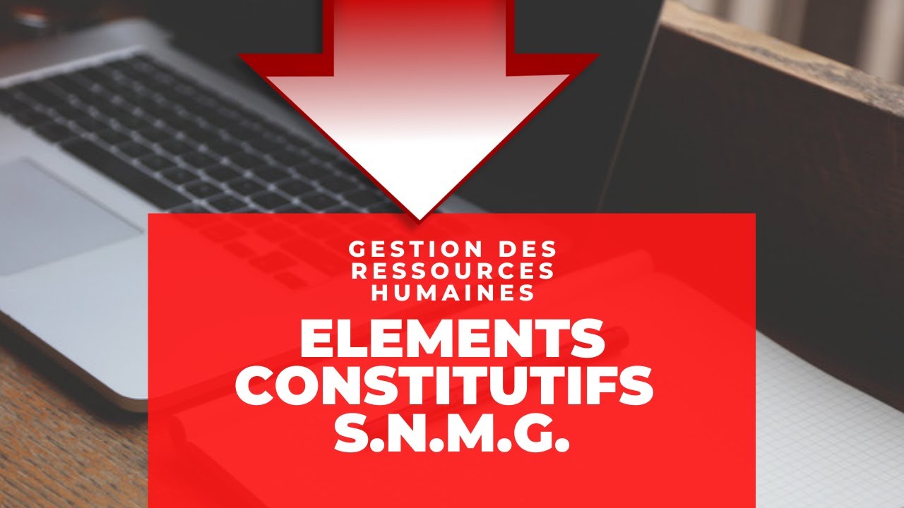 Les éléments constitutifs du SNMG.