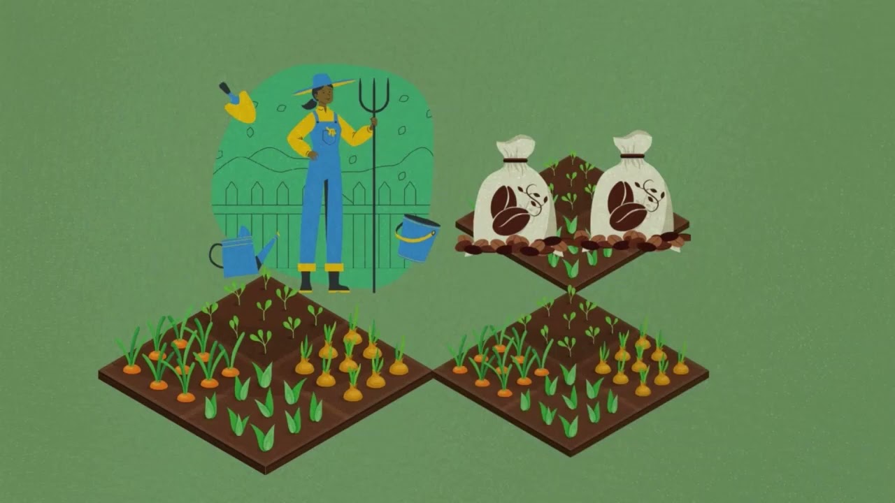 Aplicação e desenvolvimento de projetos rurais