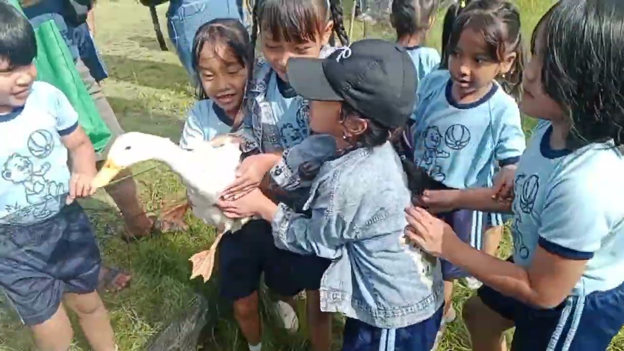 Kegiatan Outing PAUD Tri Ratna Permata Bumi, Jalan-jalan ke Teba Majalangu Kesiman Bali