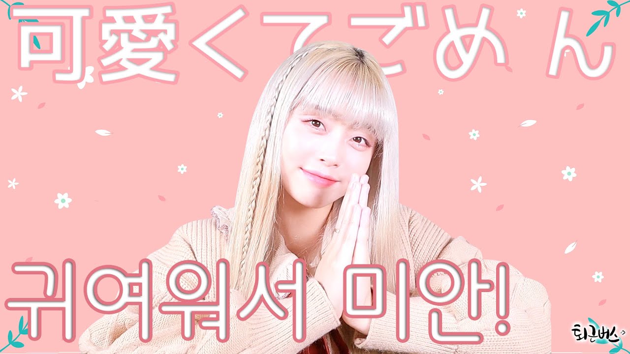 귀여워서 미안해🙏🏻HoneyWorks (Full ver. Cover)