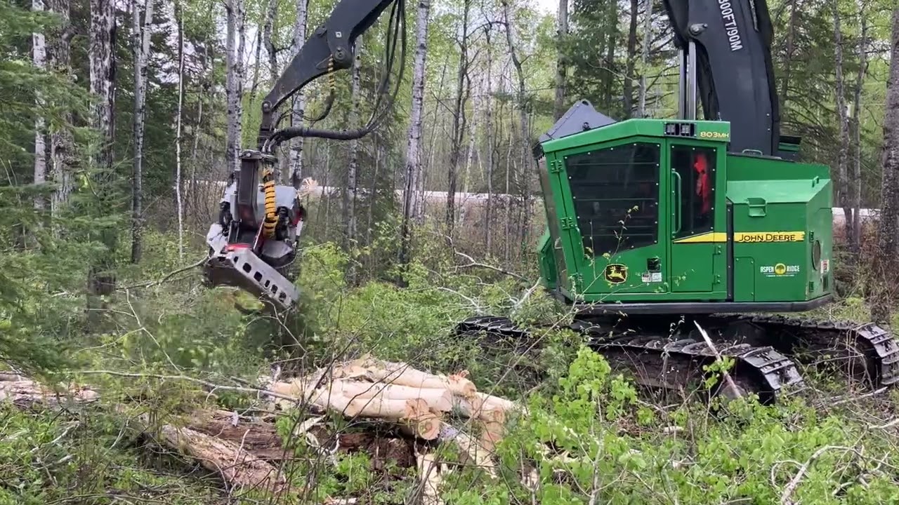 Logmax 6000B For Sale