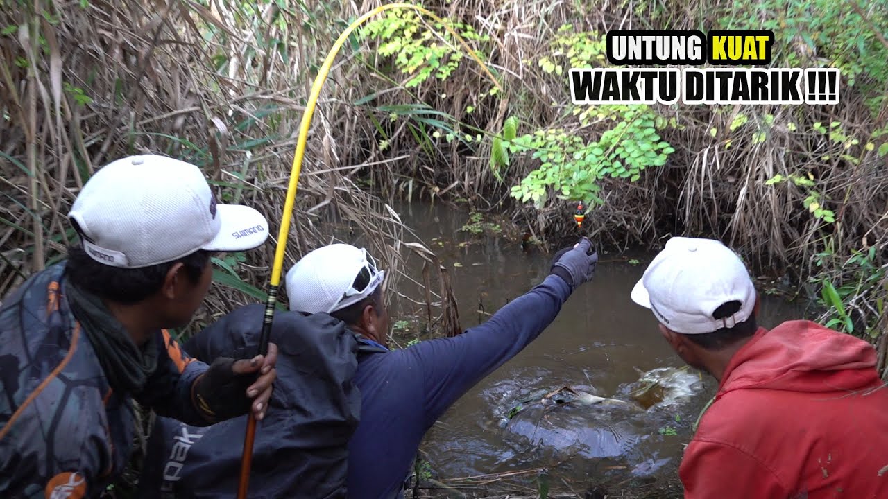 Gugup!!! Strike yang tak kuharapkan saat mancing ikan dirawa #SG-277