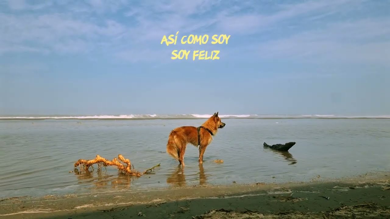 Nada a Nadie - Linkpop (VISUALIZER)