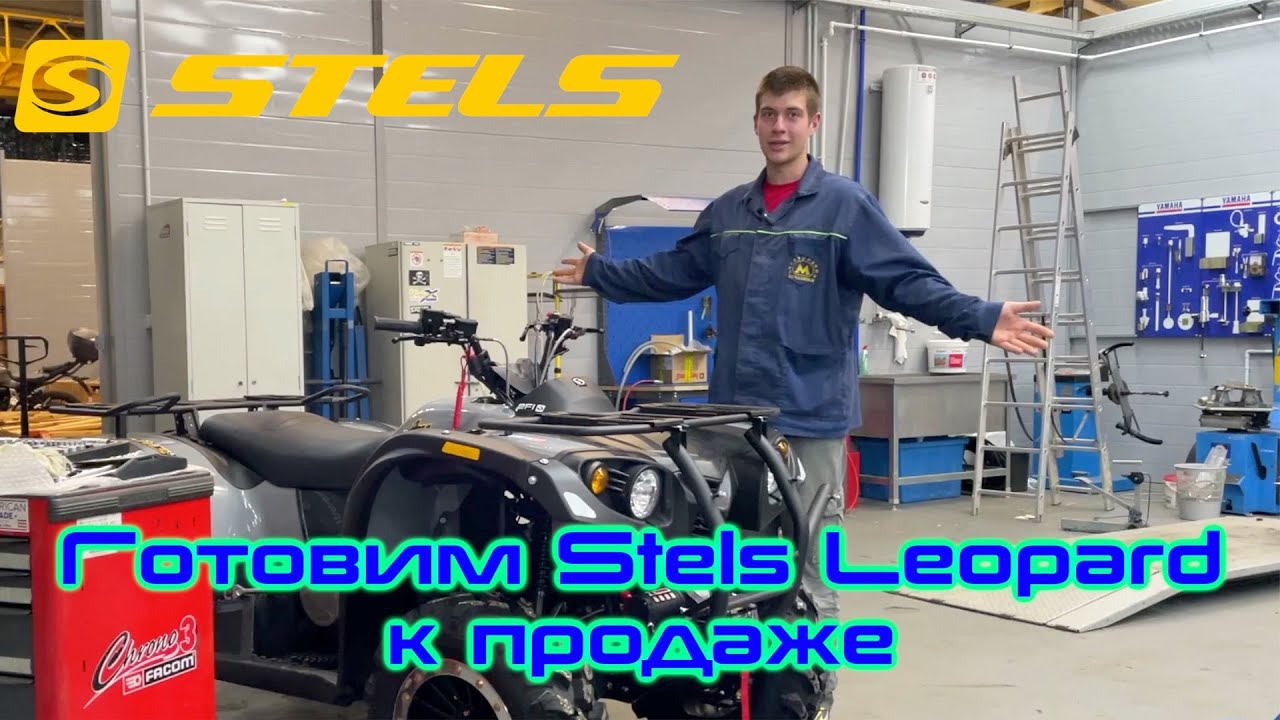 Собрали необычный Stels Leopard 650