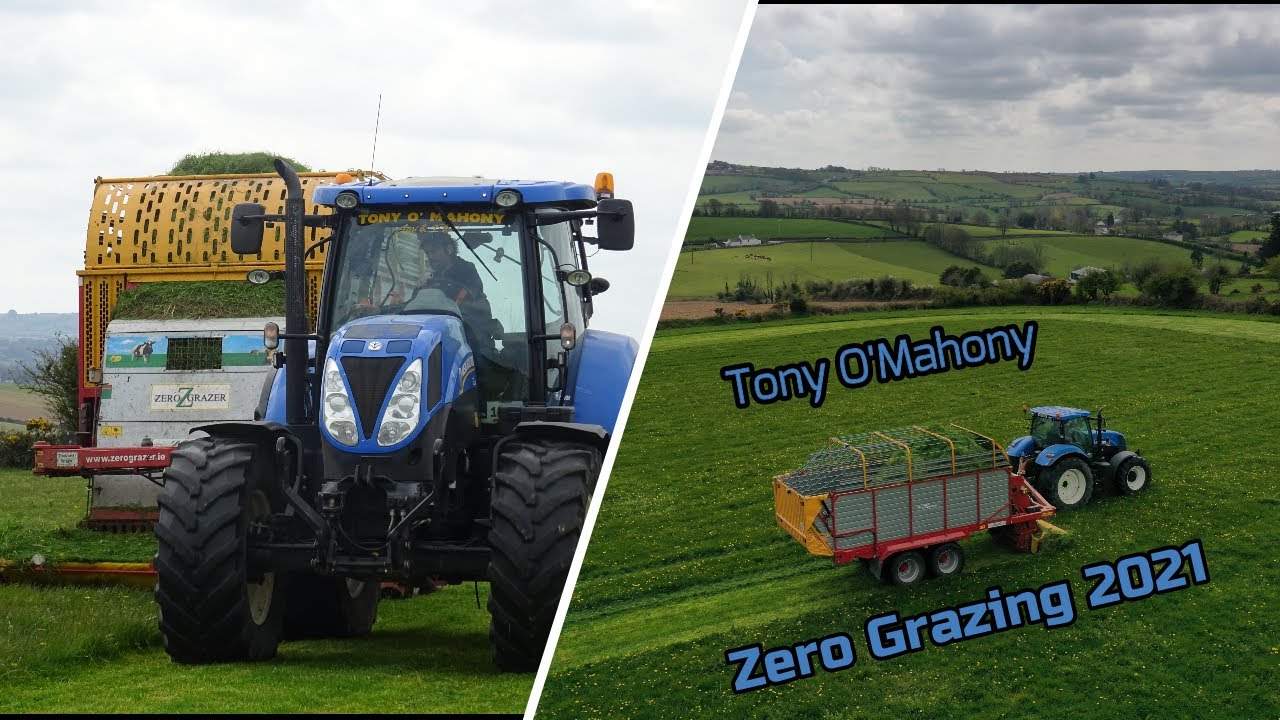 Tony O'Mahony ~ Zero Grazing 2021