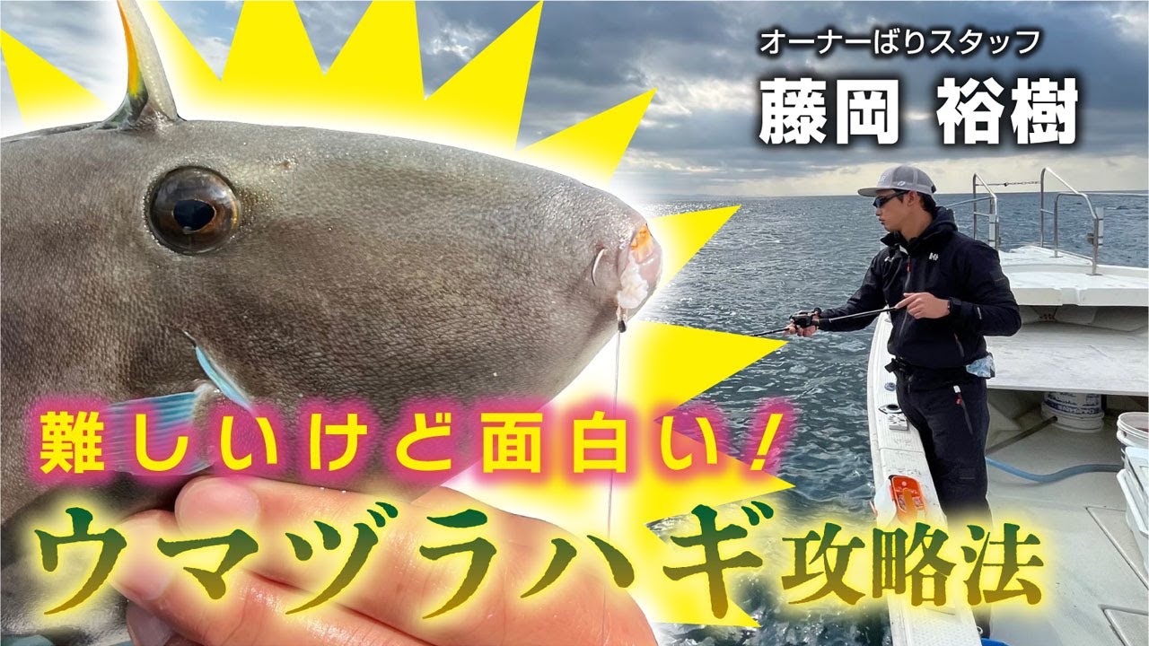 難しいけど面白い！ウマヅラハギ攻略法
