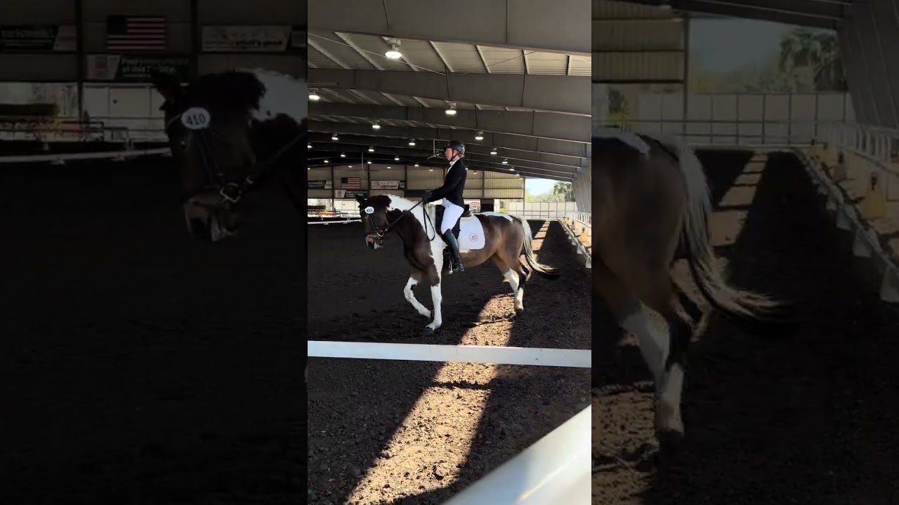 Painted Jazz Jubilee Dressage 3rd level debut 2/1/2026