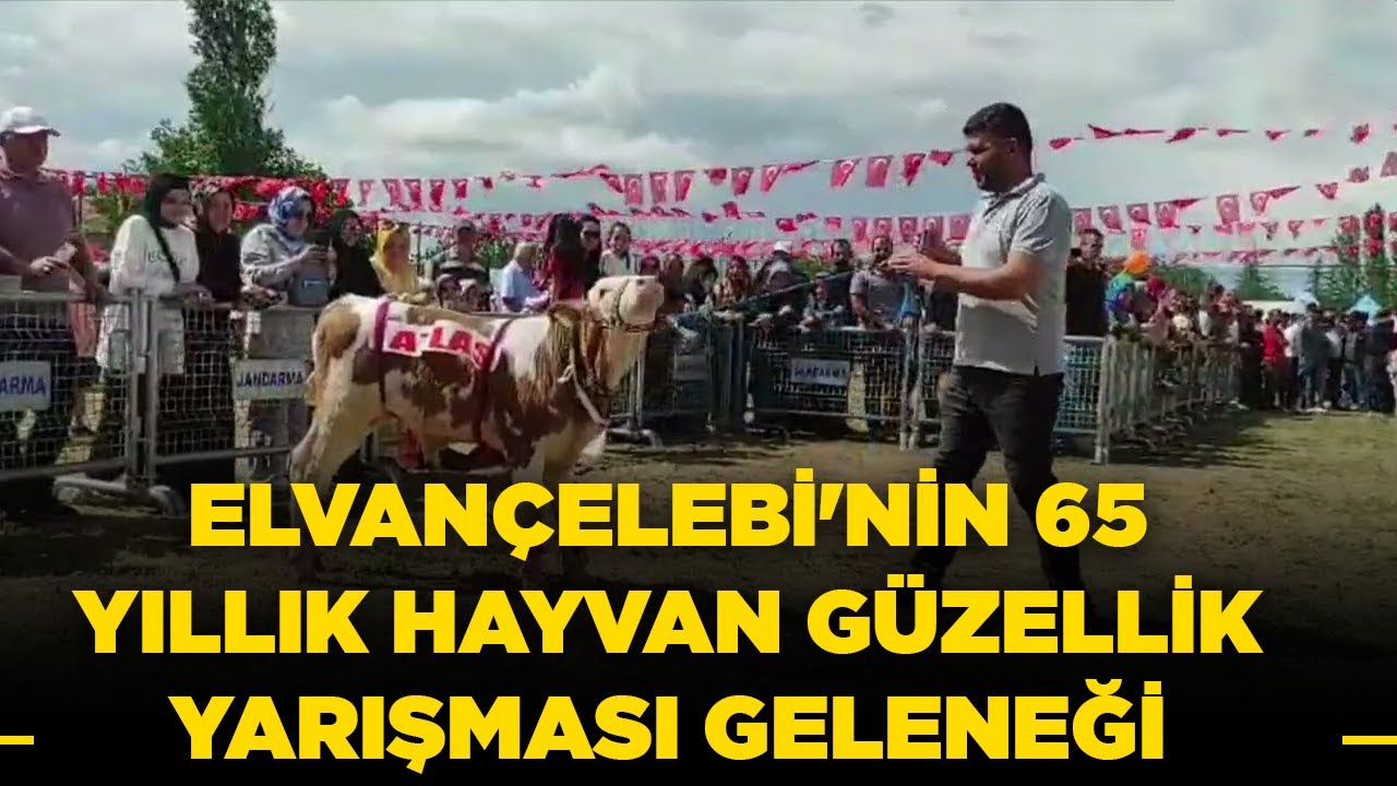 ELVANÇELEBİ'NİN 65 YILLIK HAYVAN GÜZELLİK YARIŞMASI GELENEĞİ