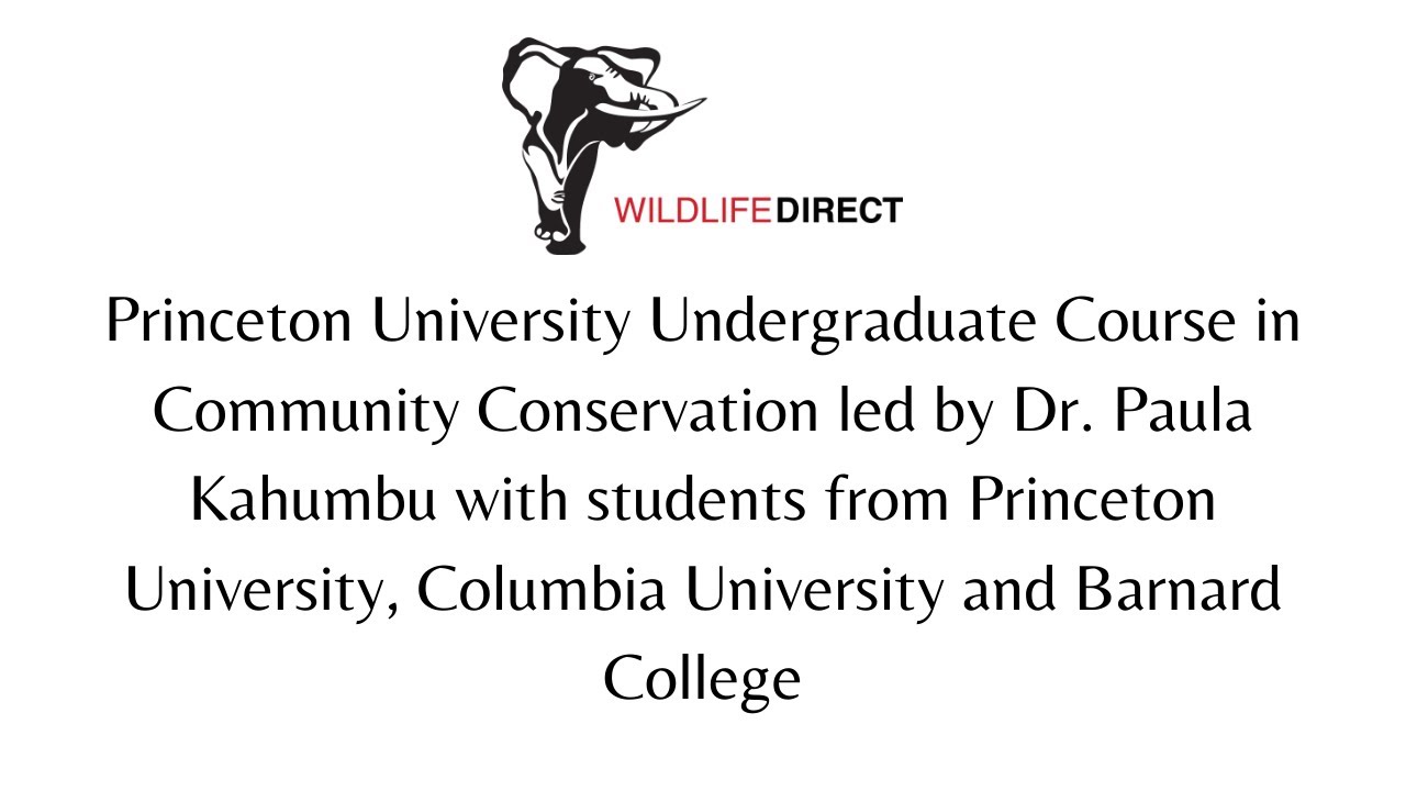How do we make Kenya a superpower for biodiversity conservation?