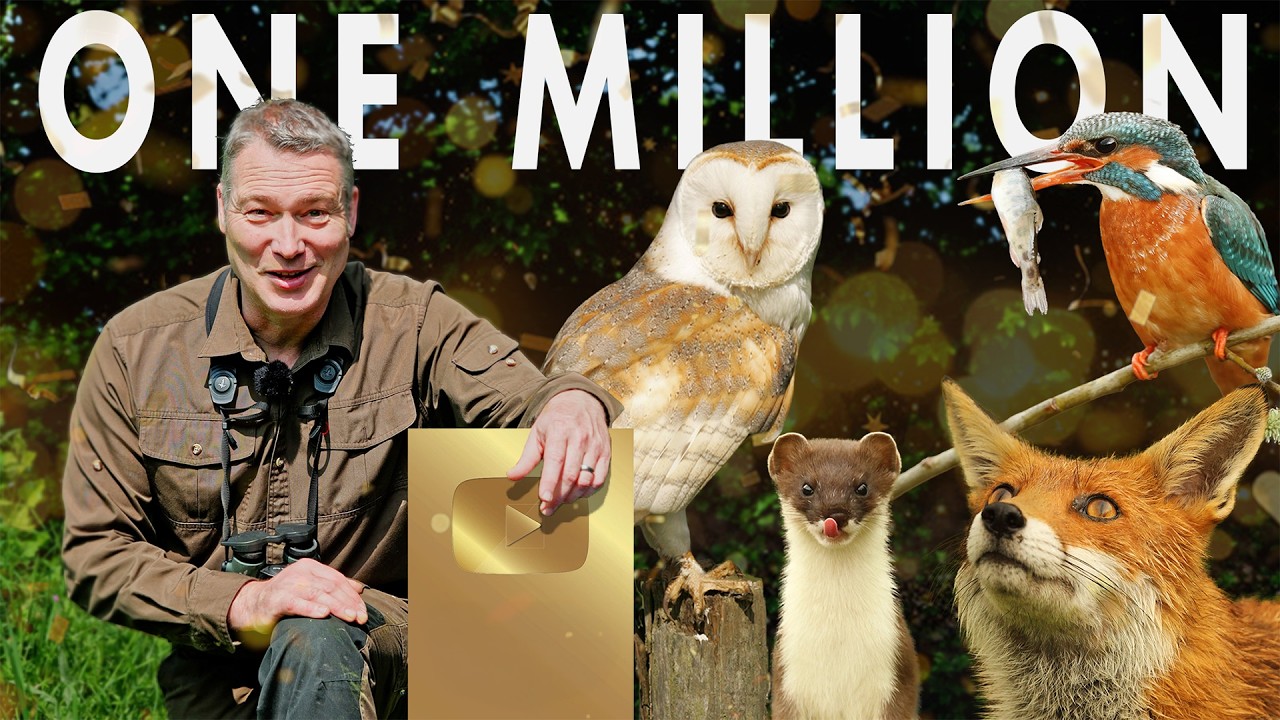 Thank You for 1 Million Subscribers! Let&rsquo;s Revisit Our Best Moments | My Story | Robert E Fuller