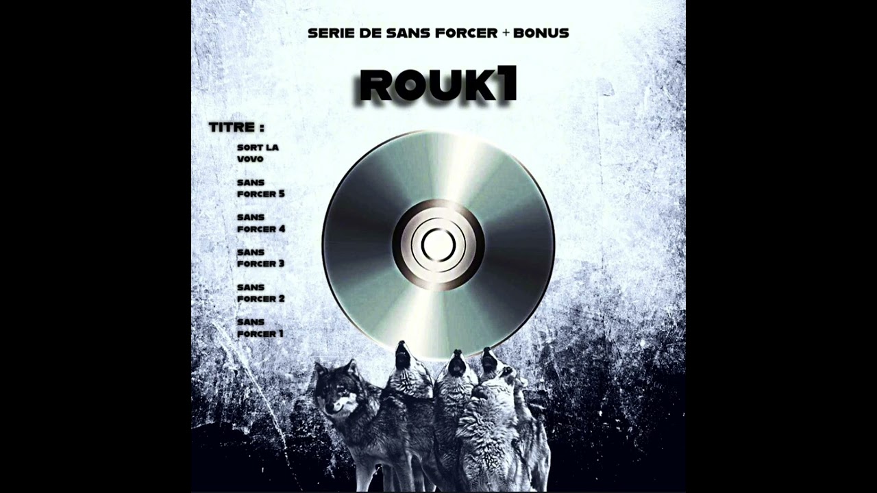 Rouk1 - Sans forcer 2