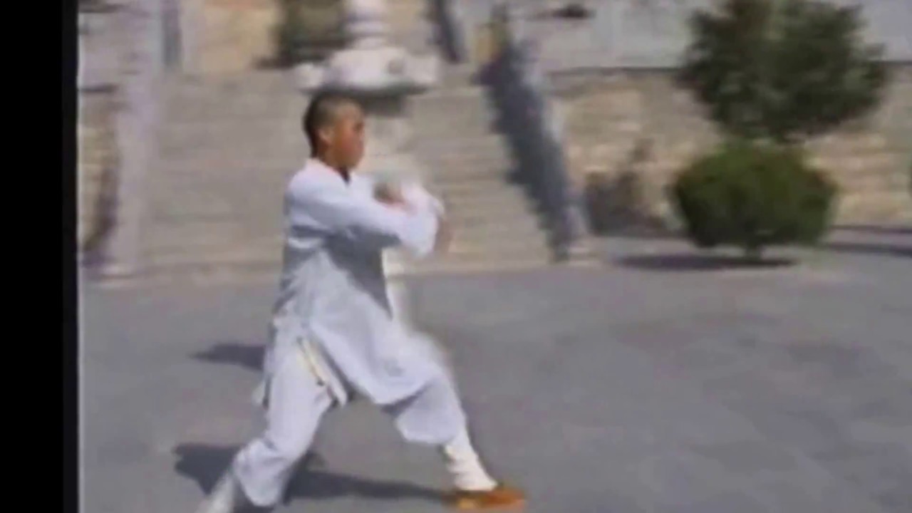 长护心意门 Shao Lin Chang Hu Xin Yi Men by Master Shi Yan Xu of Shaolin Cultural Center