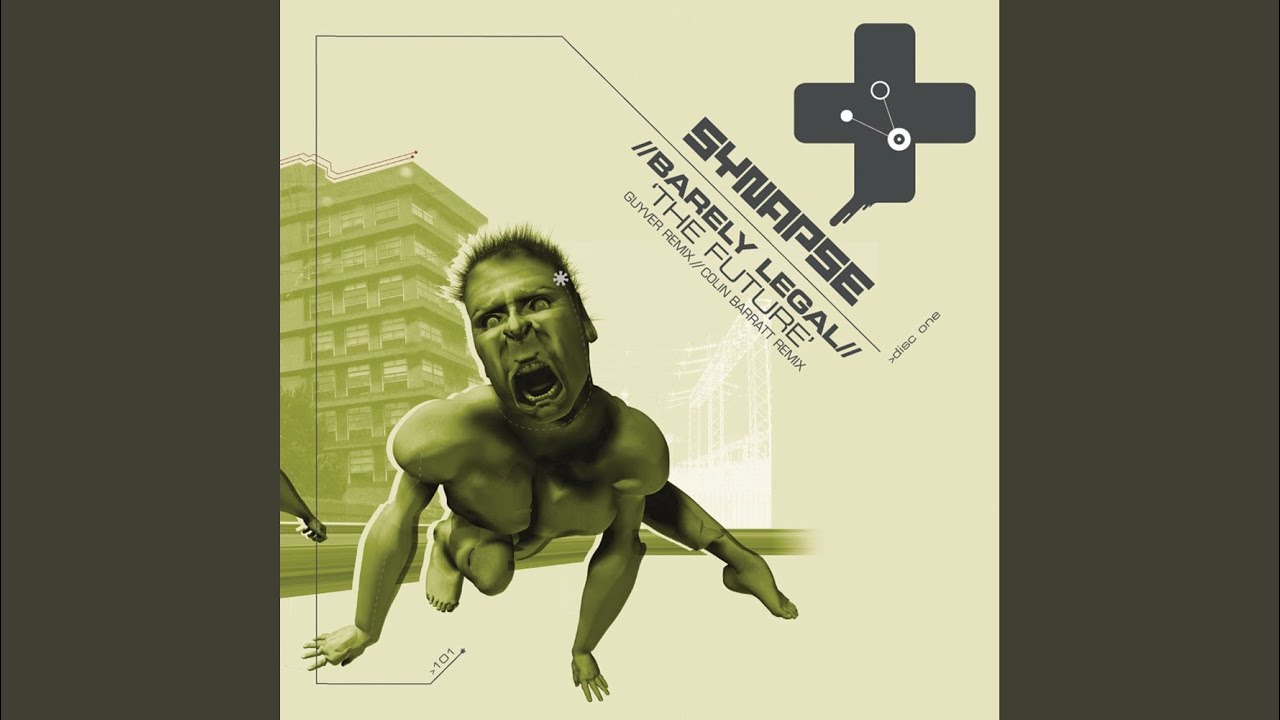 The Future (Lee Pasch Remix)
