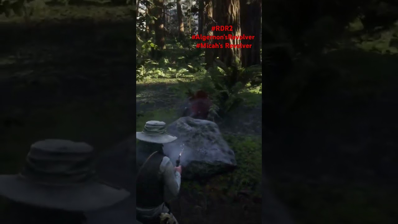 #rdr2 #rockstargames #ps5pro #ps5 #rdr2024 #rdr2gameplay