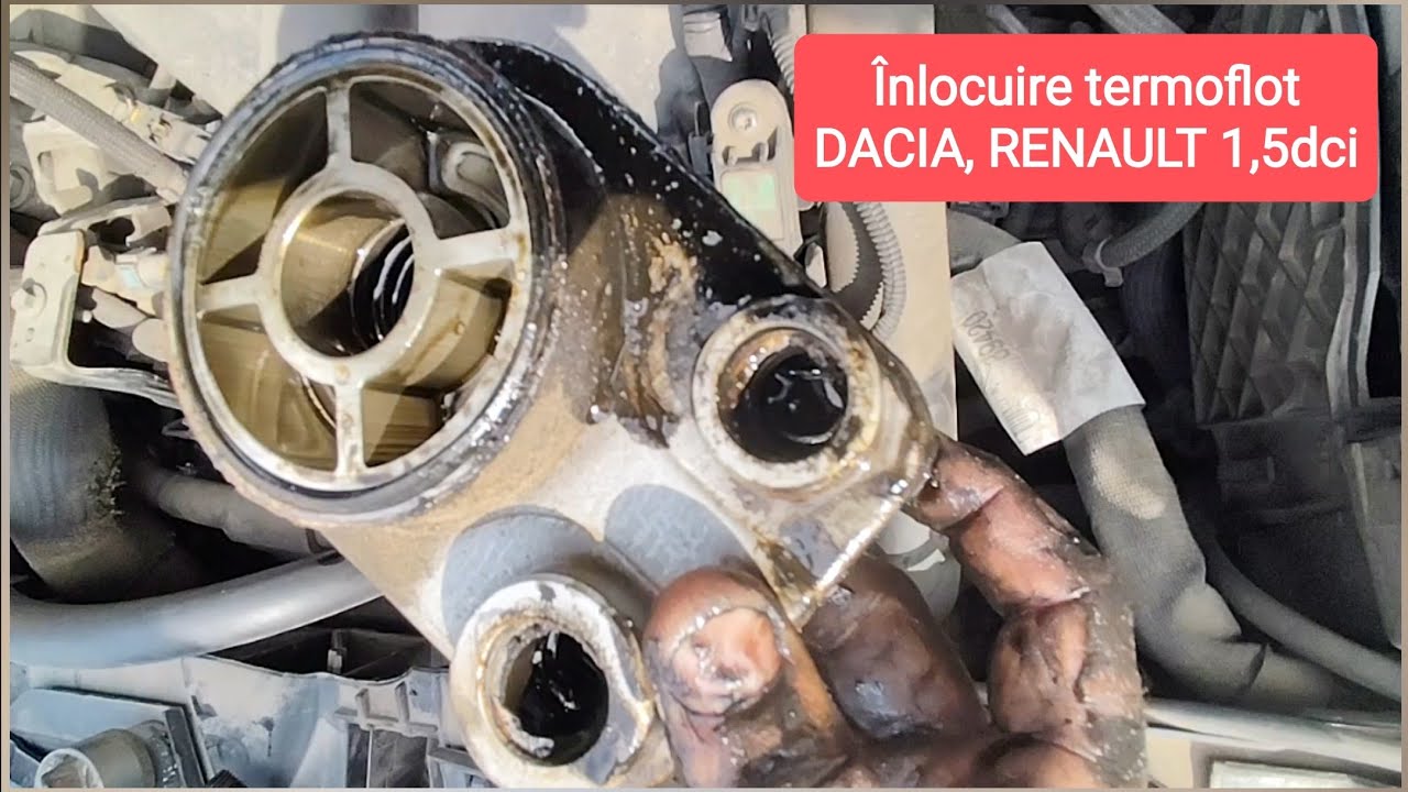 Înlocuire termoflot DACIA, RENAULT 1,5dci / oil cooler replacement
