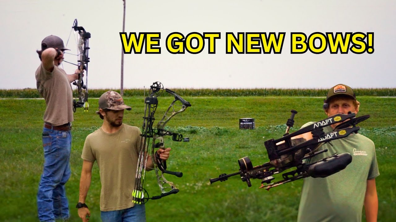 We got NEW BOWS! Bear Adapt by THP | Hoyt Torrex