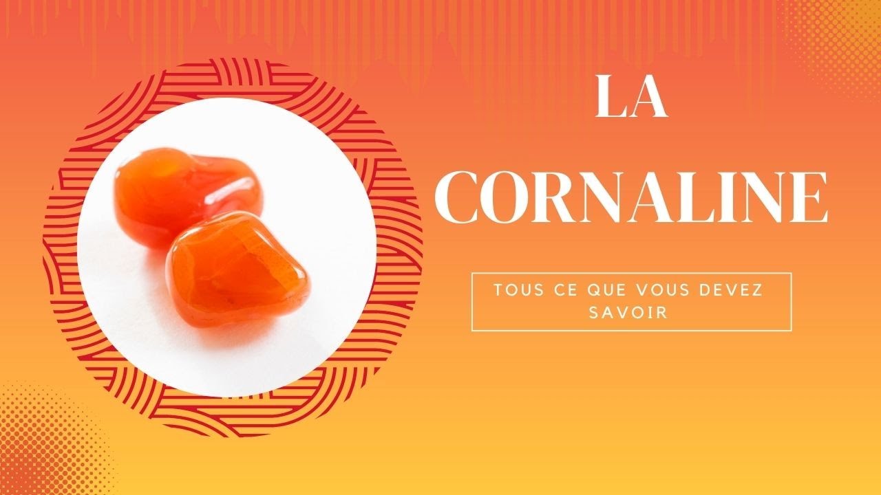 Découvrez les pouvoirs INCROYABLES de la CORNALINE : pierre de courage et d'autonomisation